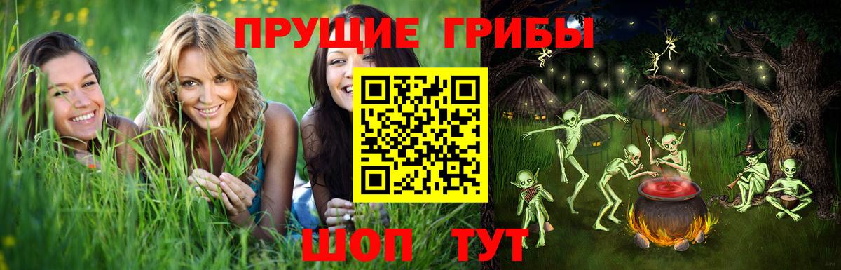 Псилоцибиновые грибы Psilocybe Пушкино