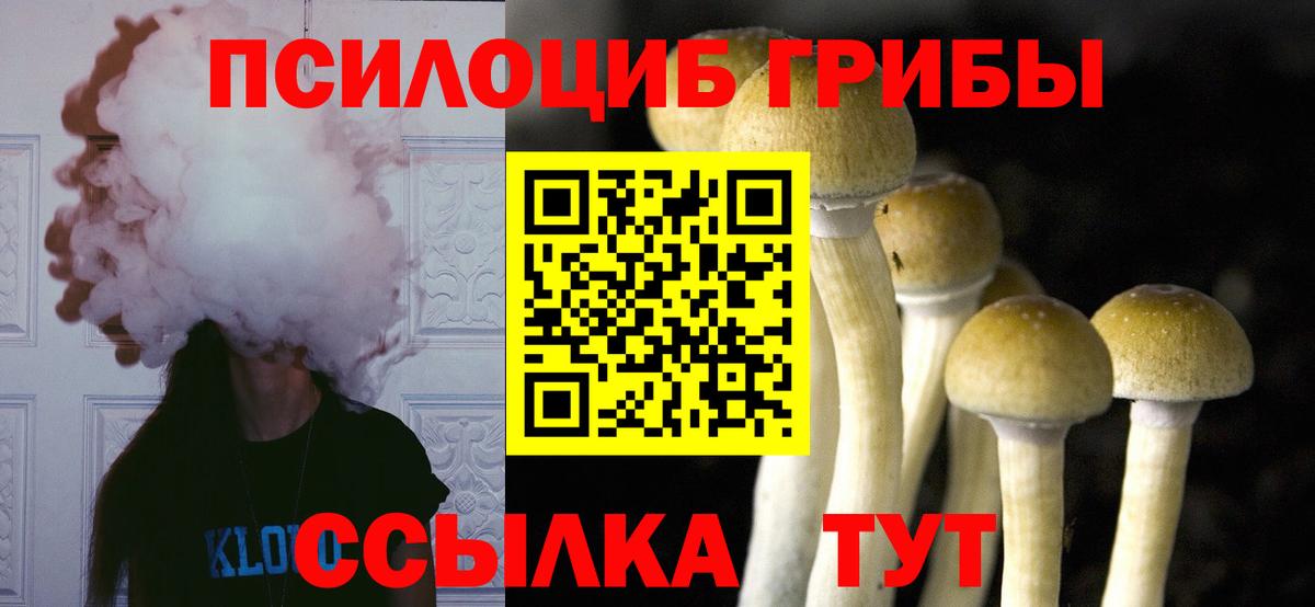 Галлюциногенные грибы GOLDEN TEACHER  Псилоцибиновые грибы Psilocybine cubensis  продажа наркотиков  Пушкино  Вход с VPN 