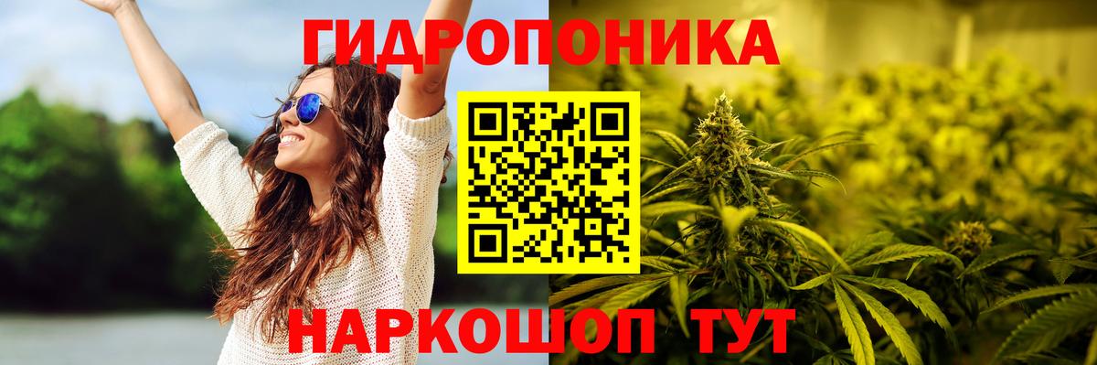 Конопля ГИДРОПОН  Бошки Шишки White Widow  Канабис MAZAR  Вход с VPN  Пушкино  Конопля индика 